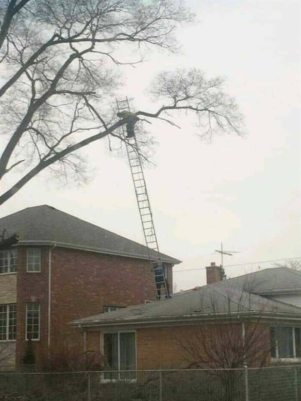 Ridiculous Safety Fails #28 (22 photos)