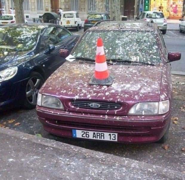 Shit Happens Regularly, Get Used To It #367 (23 photos)