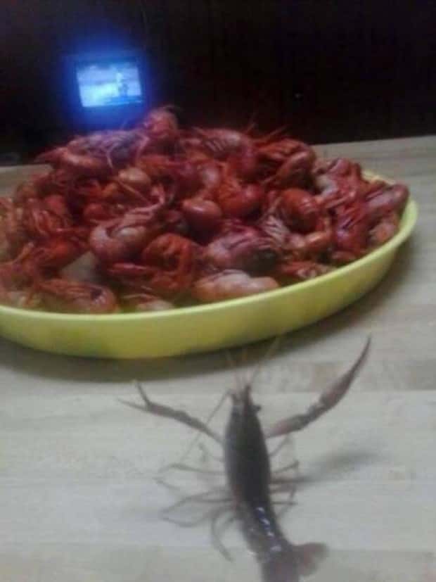 Shit Happens Regularly, Get Used To It #363 (21 photos)