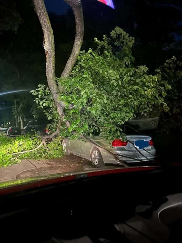 Shit Happens Regularly, Get Used To It #363 (21 photos)