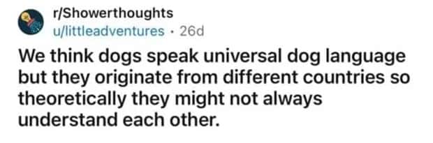Funny Shower Thoughts That Sound Smart #194 (18 photos)