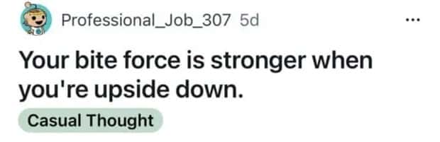 Funny Shower Thoughts That Sound Smart #194 (18 photos)