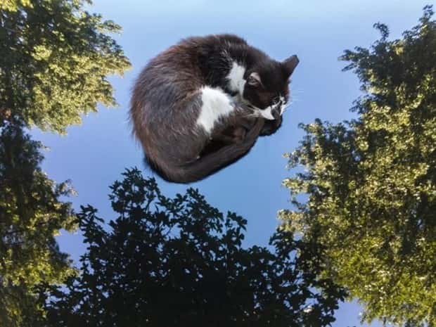 these photos play tricks with you 2 These Photos Will Mess With You (20 photos)
