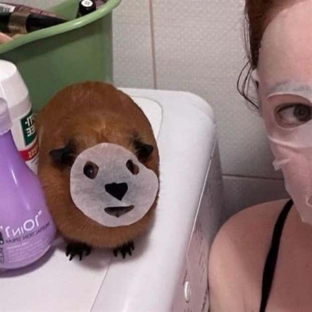 Welcome to the Weird Side of the Internet #205 (24 photos)