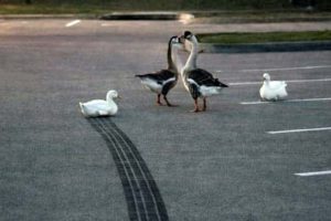 Welcome to the Weird Side of the Internet #205 (24 photos)