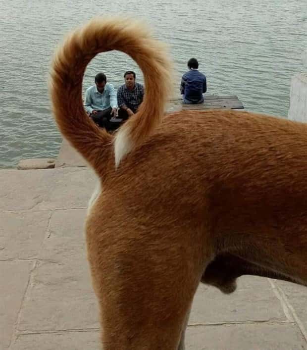 Welcome to the Weird Side of the Internet #205 (24 photos)