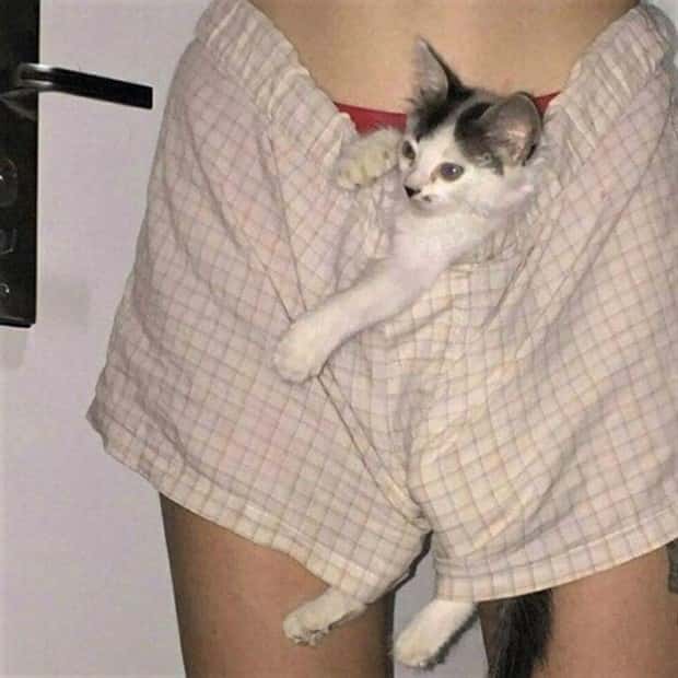 Welcome to the Weird Side of the Internet #205 (24 photos)