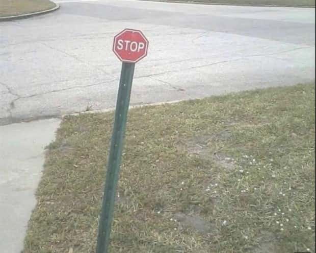 Welcome to the Weird Side of the Internet #205 (24 photos)