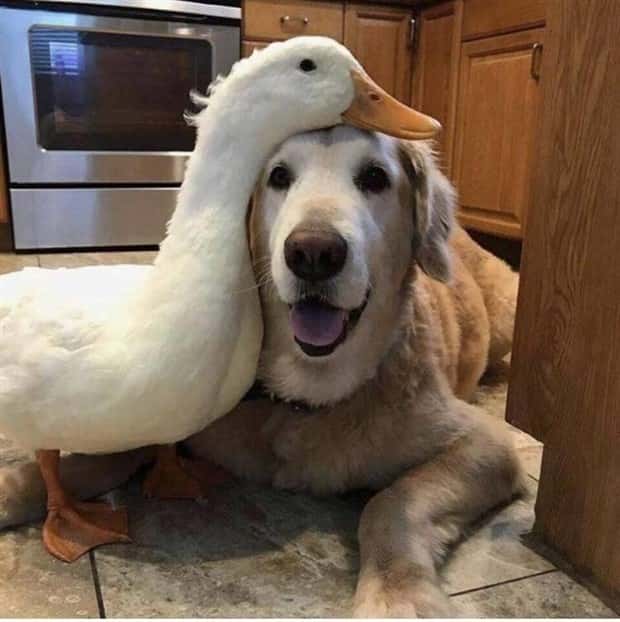 Awesome Pictures You Shouldn’t Miss #198 (22 photos)