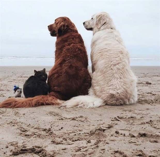 Awesome Pictures You Shouldn’t Miss #198 (22 photos)