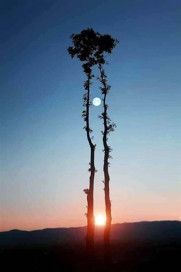 Awesome Pictures You Shouldn’t Miss #198 (22 photos)