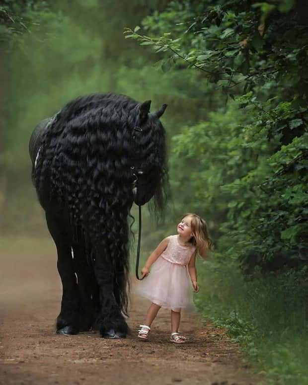 Awesome Pictures You Shouldn’t Miss #194 (20 photos)