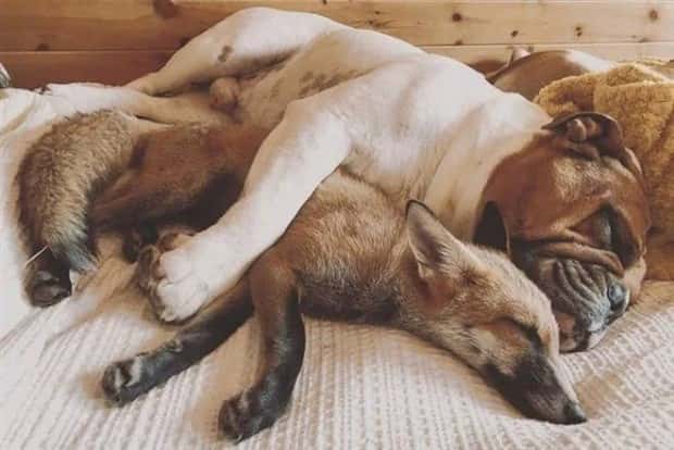 Awesome Pictures You Shouldn’t Miss #195 (24 photos)