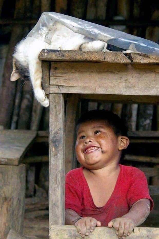 Awesome Pictures You Shouldn’t Miss #196 (23 photos)