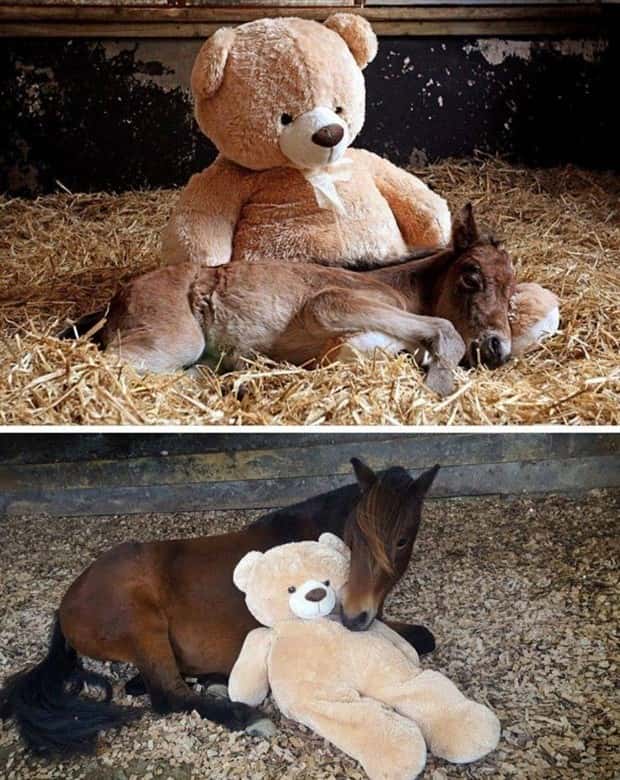 Awesome Pictures You Shouldn’t Miss #197 (21 photos)