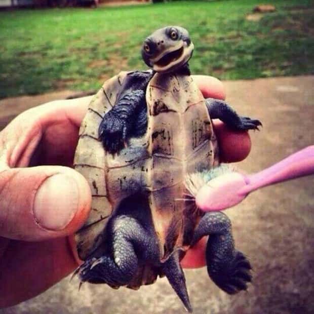 Awesome Pictures You Shouldn’t Miss #196 (23 photos)
