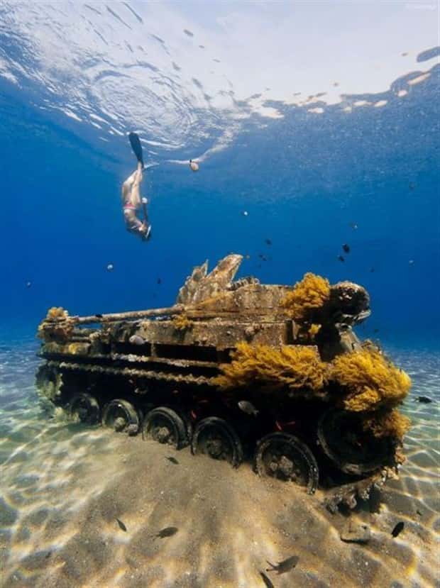Awesome Pictures You Shouldn’t Miss #195 (24 photos)