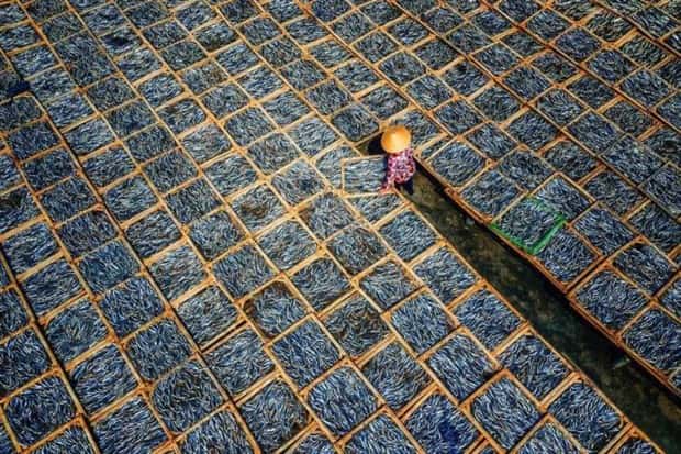 Awesome Pictures You Shouldn’t Miss #196 (23 photos)