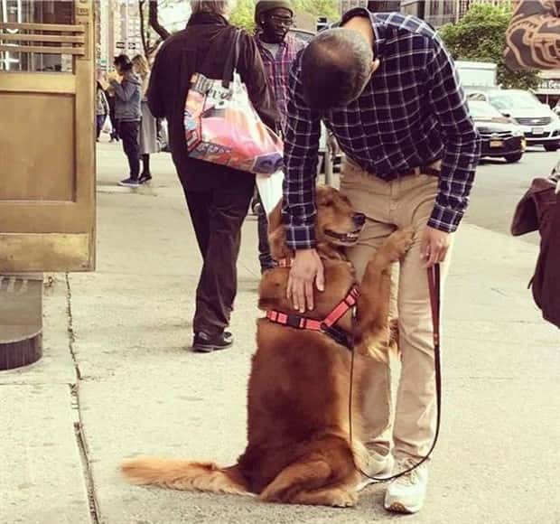 Awesome Pictures You Shouldn’t Miss #197 (21 photos)