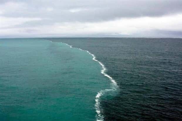 Awesome Pictures You Shouldn’t Miss #196 (23 photos)