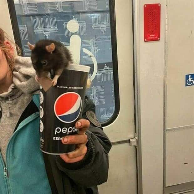 Crazy Daily Life Inside Berlins U Bahn (39 photos)