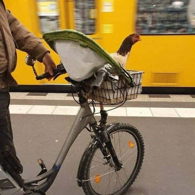 Crazy Daily Life Inside Berlins U Bahn (39 photos)