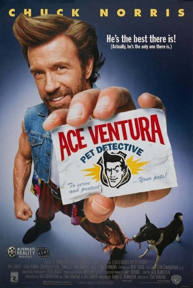 Iconic Movie Posters Improved By Chuck Norris (19 photos)