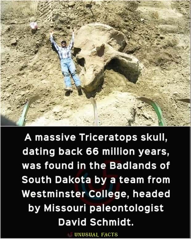 Cool and Interesting Facts #474 (24 photos)