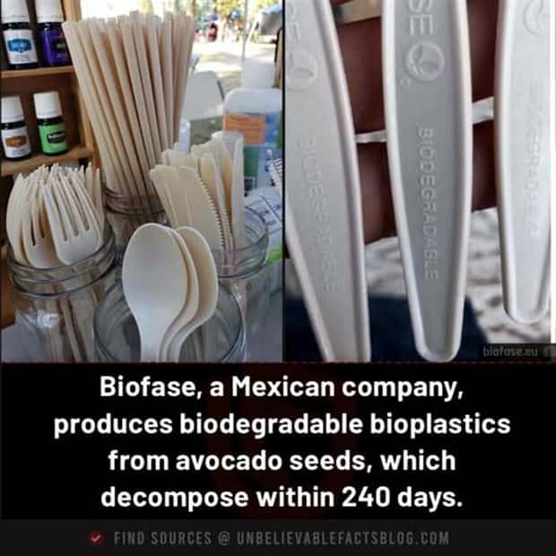 Cool and Interesting Facts #474 (24 photos)