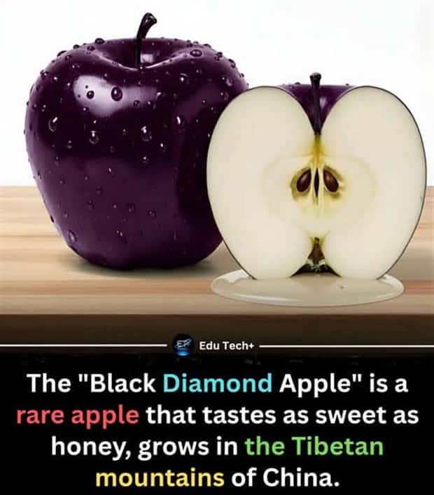 Cool and Interesting Facts #474 (24 photos)