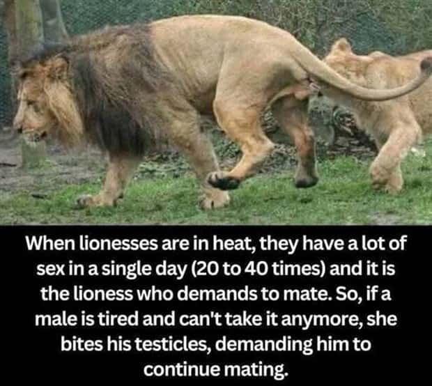 Cool and Interesting Facts #474 (24 photos)