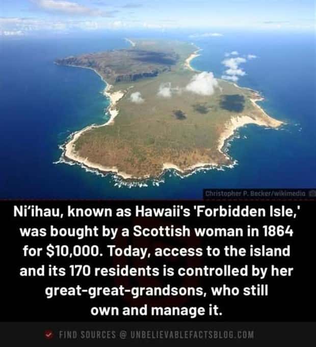 Cool and Interesting Facts #474 (24 photos)