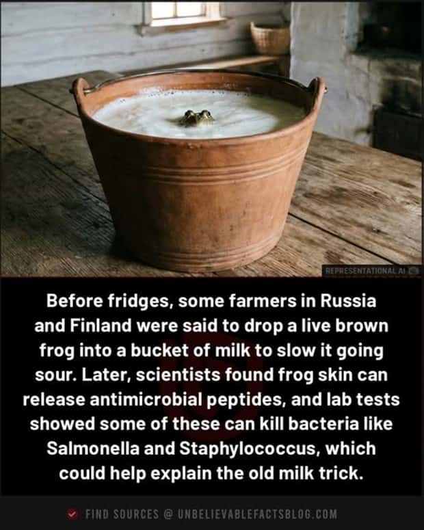 Cool and Interesting Facts #474 (24 photos)