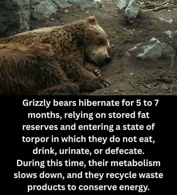 Cool and Interesting Facts #474 (24 photos)