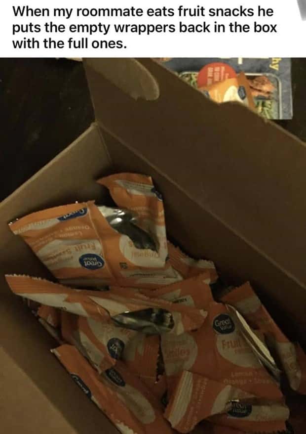 Roommates Nobody Wants Nearby For Long (26 photos)