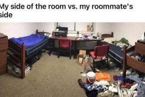 Roommates Nobody Wants Nearby For Long (26 photos)