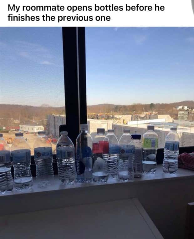 Roommates Nobody Wants Nearby For Long (26 photos)