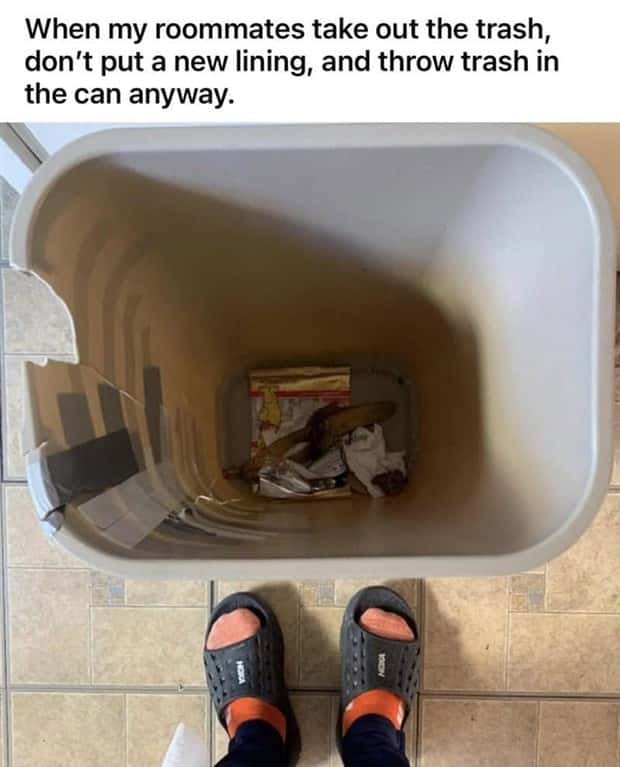 Roommates Nobody Wants Nearby For Long (26 photos)