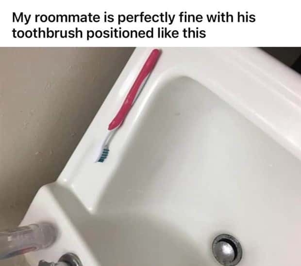 Roommates Nobody Wants Nearby For Long (26 photos)