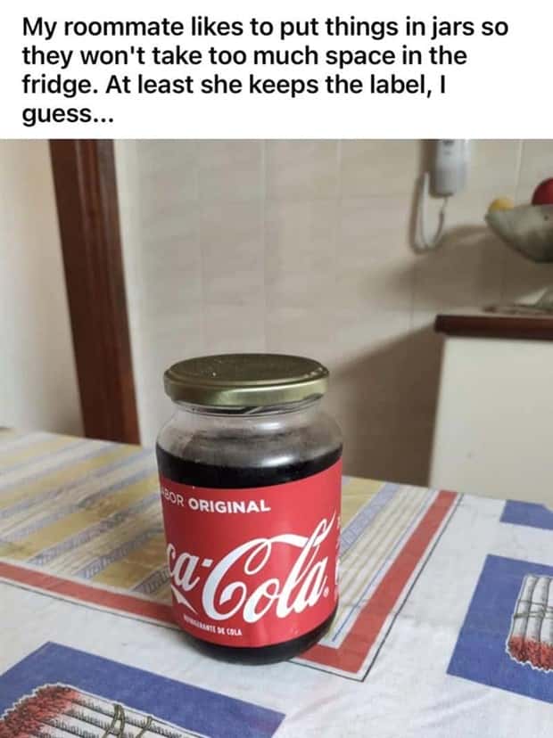 Roommates Nobody Wants Nearby For Long (26 photos)