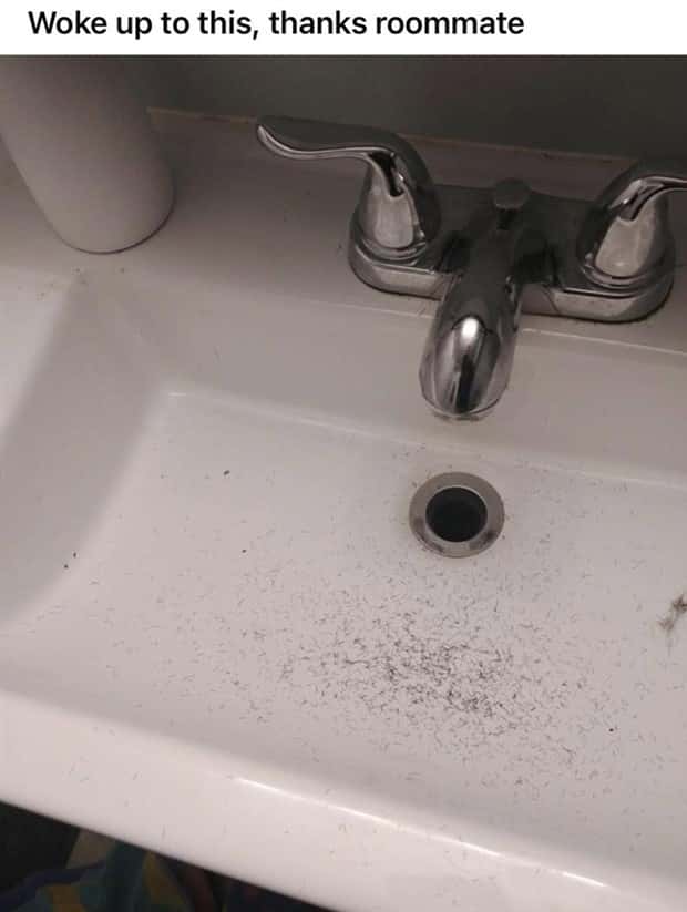 Roommates Nobody Wants Nearby For Long (26 photos)