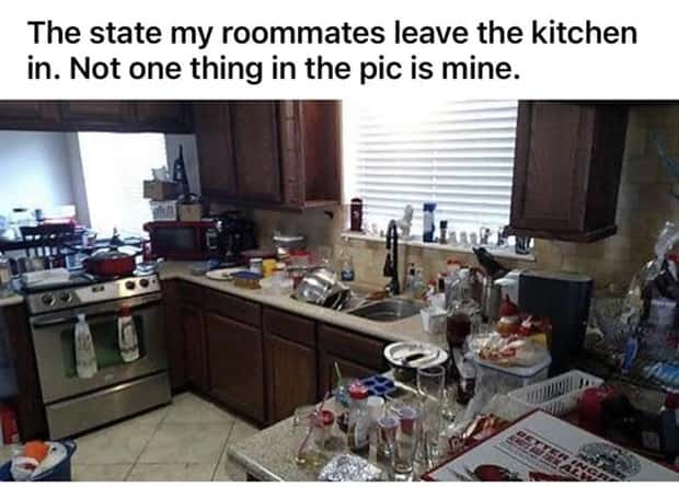 Roommates Nobody Wants Nearby For Long (26 photos)