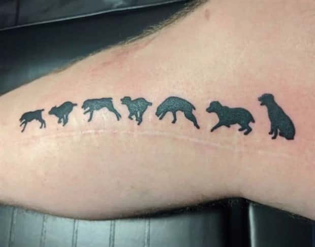 Creative Cover Ups for Scars and Failed Tattoos (23 photos)