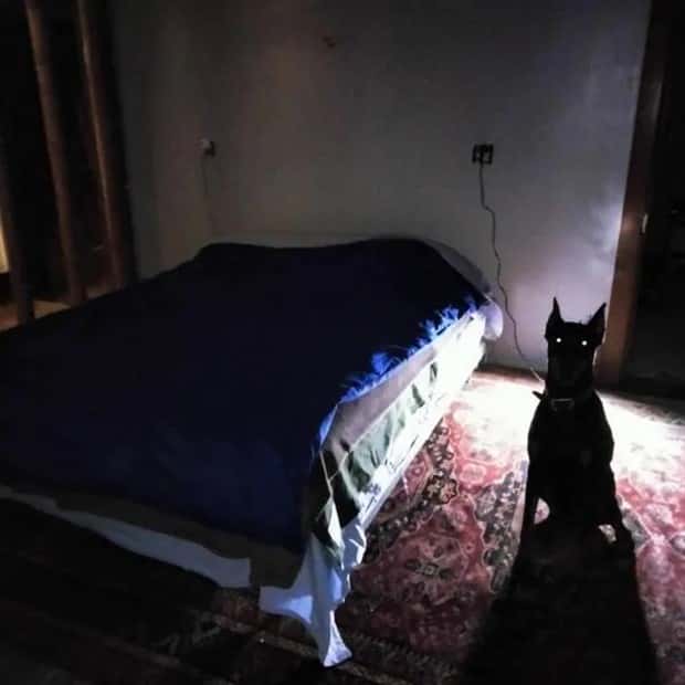 27 Cursed Visuals To Ruin Your Sleep (27 photos)