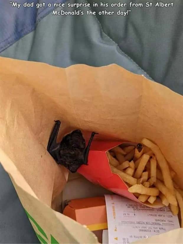 27 Cursed Visuals To Ruin Your Sleep (27 photos)