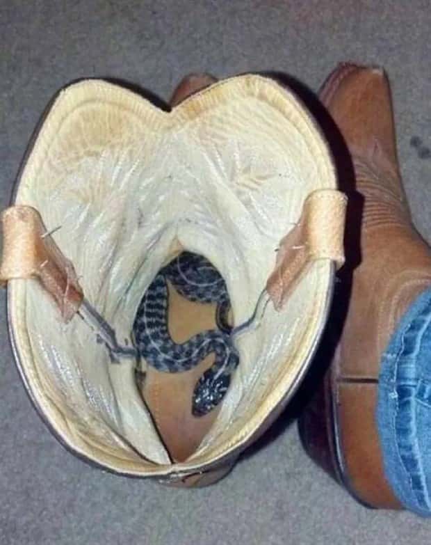 27 Cursed Visuals To Ruin Your Sleep (27 photos)