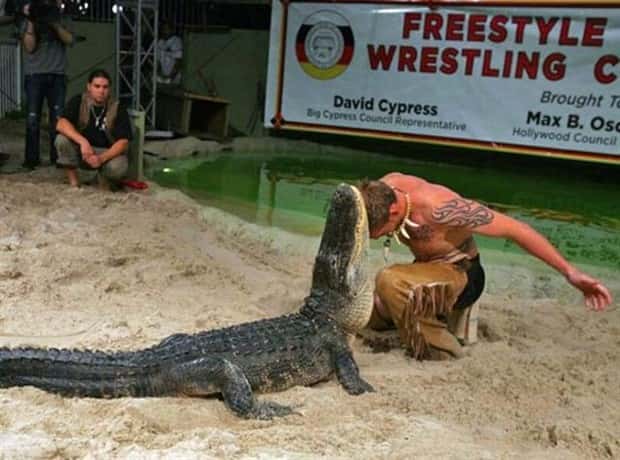 dumb people vs crocodiles 11 20 People Pushing Their Luck With Crocodiles (20 photos)