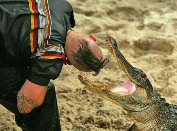 dumb people vs crocodiles 14 20 People Pushing Their Luck With Crocodiles (20 photos)