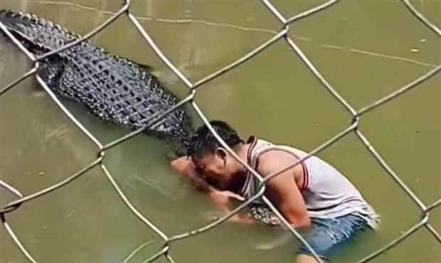 dumb people vs crocodiles 16 20 People Pushing Their Luck With Crocodiles (20 photos)