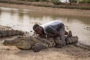 20 People Pushing Their Luck With Crocodiles (20 photos)